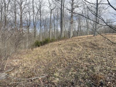 Lot 89 Cumberland Shores , Monticello, Kentucky 42633, HOA KỲ