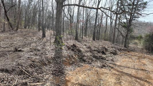 8 Acres Hass Road, Jasper, Tennessee 37347, USA