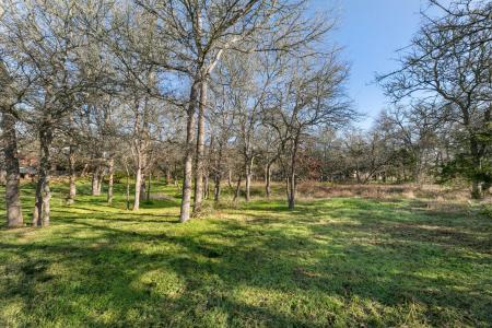 385 Texas Oak DR, Cedar Creek, Texas 78612, USA
