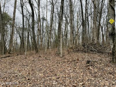 19A Burchett Drive, Crossville, Tennessee 38572, USA