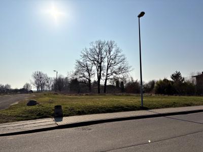 Staven, Mecklenburg-Vorpommern 17039, 德國