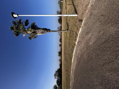 1400 MORALES DR, Mission, Texas 78573, USA