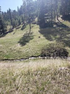 Heitman, White Sulphur Springs, Montana 59645, Estados Unidos