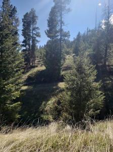 Spencer MS, White Sulphur Springs, Montana 59645, HOA KỲ