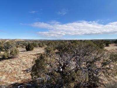 4.044 AC Lot 4 Ancient Trails Cr, Aztec, المكسيك جديدة 87410, الولايات المتحدة