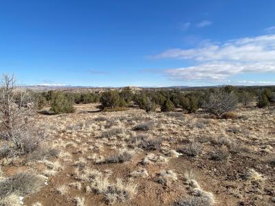 4.044 AC Lot 4 Ancient Trails Cr, Aztec, المكسيك جديدة 87410, الولايات المتحدة