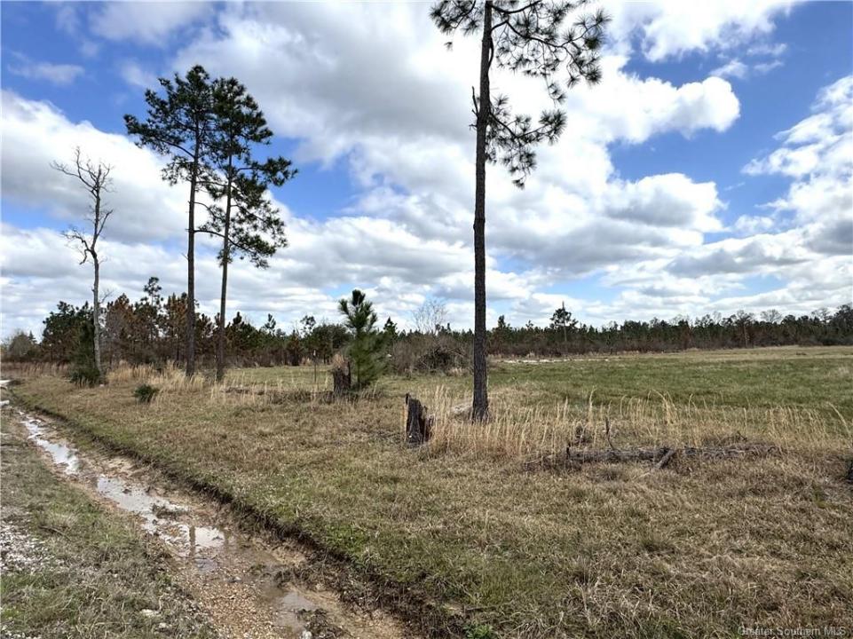 0 Marcantel Road, Dequincy, Louisiana 70633
