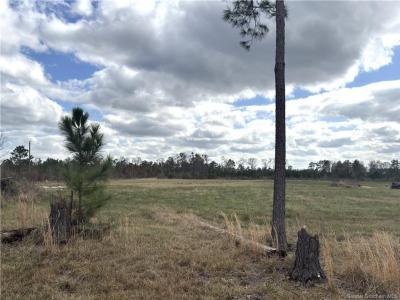 0 Marcantel Road, Dequincy, Louisiana 70633