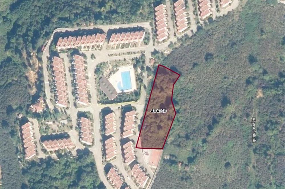 Düzce, 土耳其