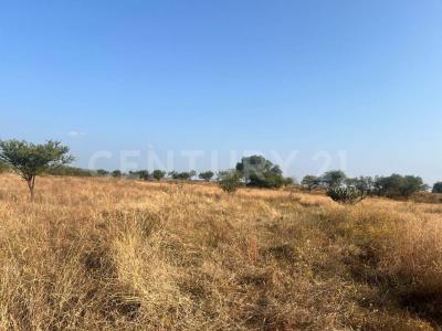 La huertas campo campestre ,, 과 나후 아토, 과 나후 아토 36070, 멕시코