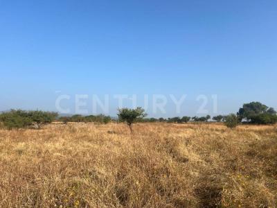 La huertas campo campestre ,, 과 나후 아토, 과 나후 아토 36070, 멕시코
