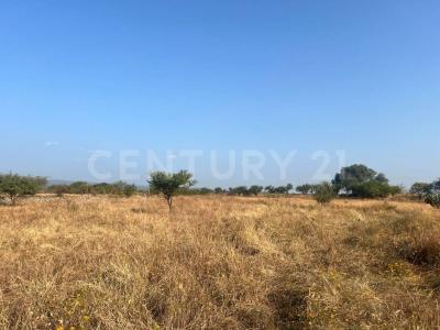 La huertas campo campestre ,, 과 나후 아토, 과 나후 아토 36070, 멕시코