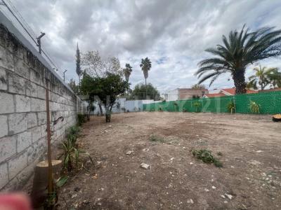 Santa Monica ,, Celaya, Guanajuato 38019, México