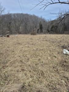1075 Lithia Road, Buchanan, Virginia 24066, Amerika Birleşik Devletleri