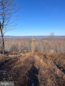 Tract 5, 7, and 9 Chiweeny Lane, Hedgesville, West Virginia 25427, USA