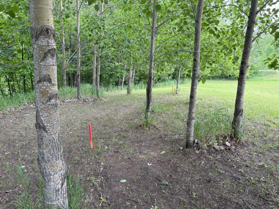 28247 Water Street Trail, Underwood, Minnesota 56586, États-Unis