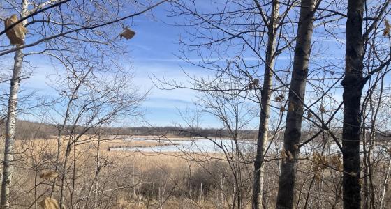 28247 Water Street Trail, Underwood, Minnesota 56586, États-Unis