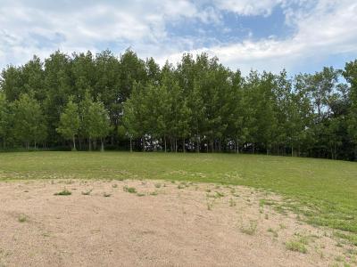 28247 Water Street Trail, Underwood, Minnesota 56586, États-Unis