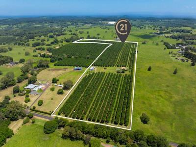 91 Ellis Road, Alstonville, NSW 2477, Austrália