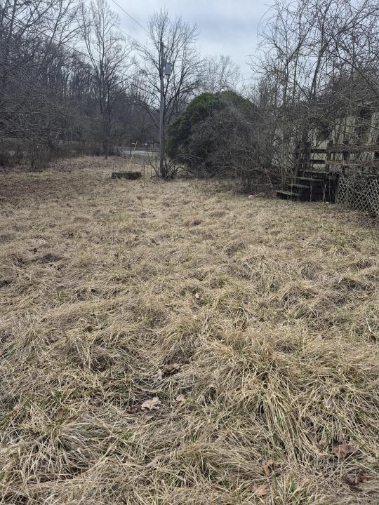 2201 Lithia Road, Buchanan, Wirginia 24066, USA