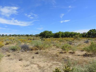 5.14 AC NYA Pinon Hills Blvd., Farmington, Novo México 87402, Estados Unidos