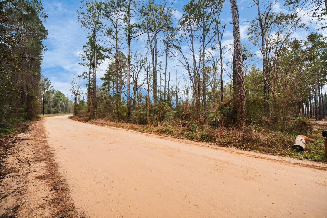 12+ Acres County Line Road, Shepherd, Texas 77371