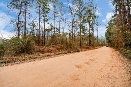12+ Acres County Line Road, Shepherd, Texas 77371