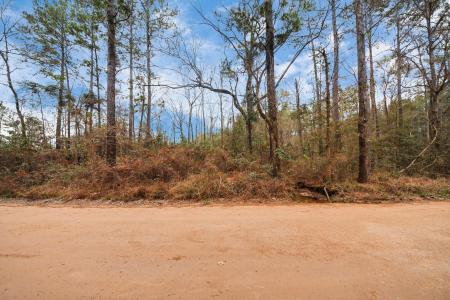 12+ Acres County Line Road, Shepherd, Texas 77371