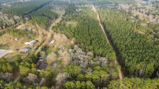 12+ Acres County Line Road, Shepherd, Texas 77371