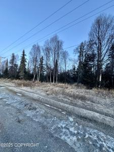2604 Redoubt Avenue, Kenai, 阿拉斯加州 99611, 美国