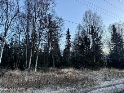 2604 Redoubt Avenue, Kenai, Alaska 99611, Estados Unidos