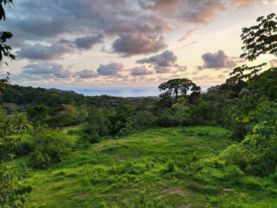 Uvita Bahía Ballena Osa, Puntarenas 60504, Costa Rica