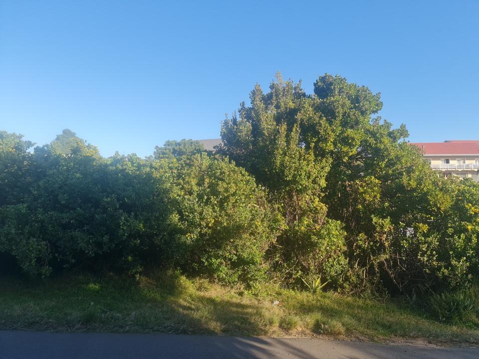 Knysna, Western Cape, Südafrika