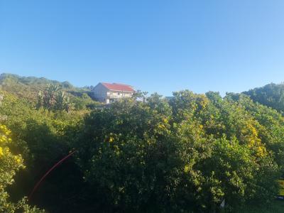 Knysna, Western Cape, Südafrika