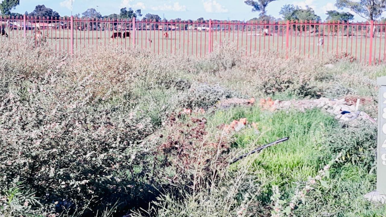 Bloemfontein, Free State, 南非