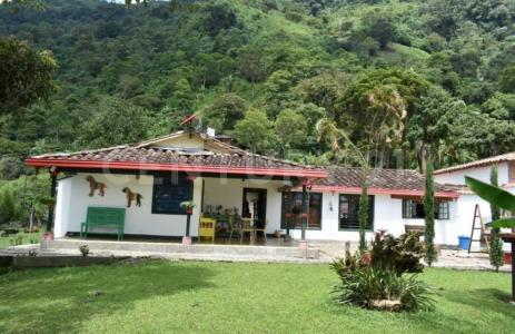 Fredonia, Antioquia 00001, Colombia