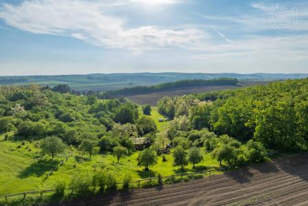 Mutěnice, Hodonín, República Checa