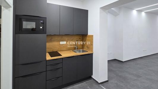 Gosposka ulica, Celje, Savinjska 3000, Slovénie