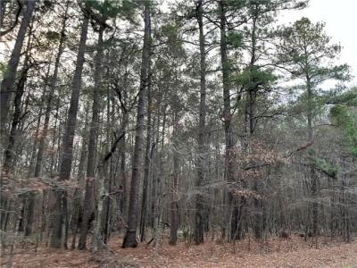 Lot (2) 0 HWY 454 Highway, Pineville, Louisiana 71360, Estados Unidos