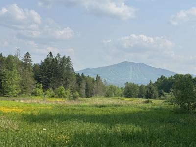 1130 Burke Green Road 3, Burke, Vermont 05832, Estados Unidos