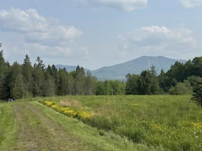 1130 Burke Green Road 3, Burke, Vermont 05832, Estados Unidos