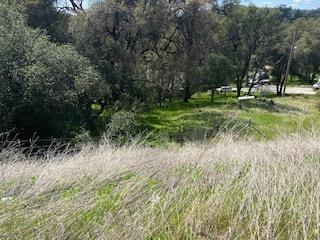 10323 Karen Drive, Grass Valley, California 95949, USA