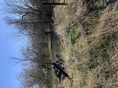 Lot 22 Cimmarron Court, Runaway Bay, Texas 76426, USA
