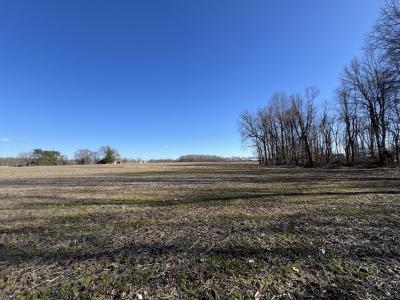 00 Red Fern Road, 19.3 ac m/l Lot #1 and Lot #2, Campbellsville, Kentucky 42718