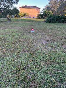 Cocoa Court, KISSIMMEE, Flórida 34758, Estados Unidos