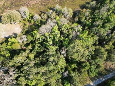 601 Lakesedge Drive, Lake Placid, Florida 33852, Stati Uniti