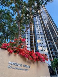 60 Beretania Street #PHB2, Honolulu, Hawaii 96817
