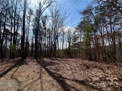 1345 Hunter Drive, Ranger, Georgia 30734, USA