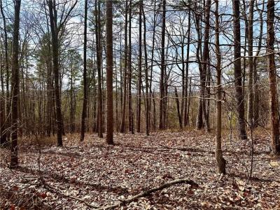 1344 Hunter Drive, Ranger, Georgia 30734, USA