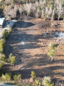 7309 Edison Richardson Drive, Youngstown, Flórida 32466, Estados Unidos